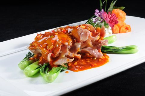 CXC02330看家驼掌 108