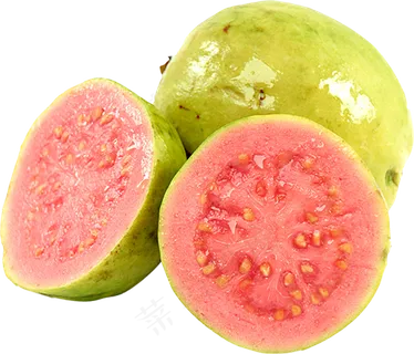 番石榴免抠素材 (36)