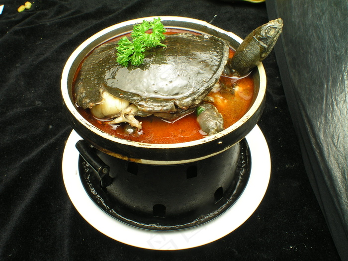 粤菜1211红煨甲鱼afff
