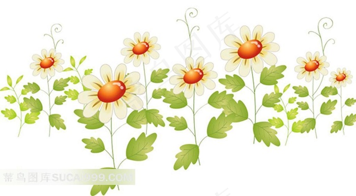 菊花生物世界花草素材