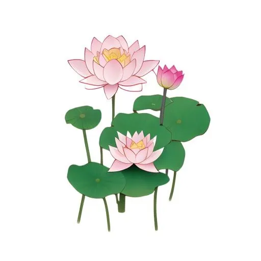 荷花莲花免抠(2048x2048)