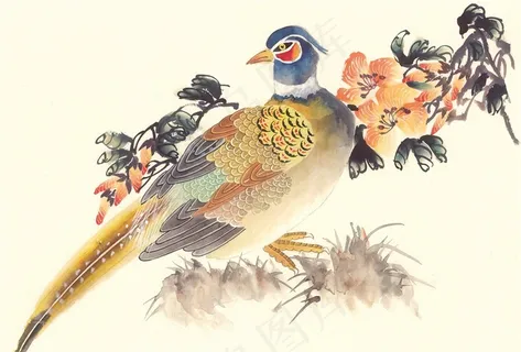 国画吉祥鸟大图图片素材 国画吉祥鸟大图图片素材