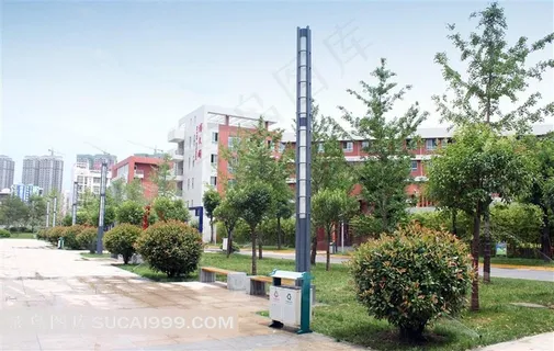 学校一角的景观