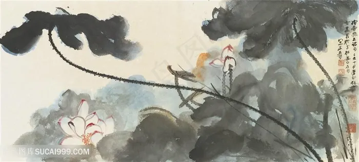 张大千水墨荷花花鸟装饰画