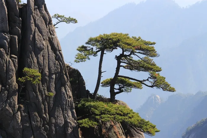 巍峨的安徽黄山自然风景图片-第2张