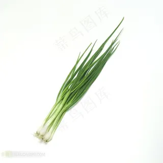 新鲜蔬果小葱素材