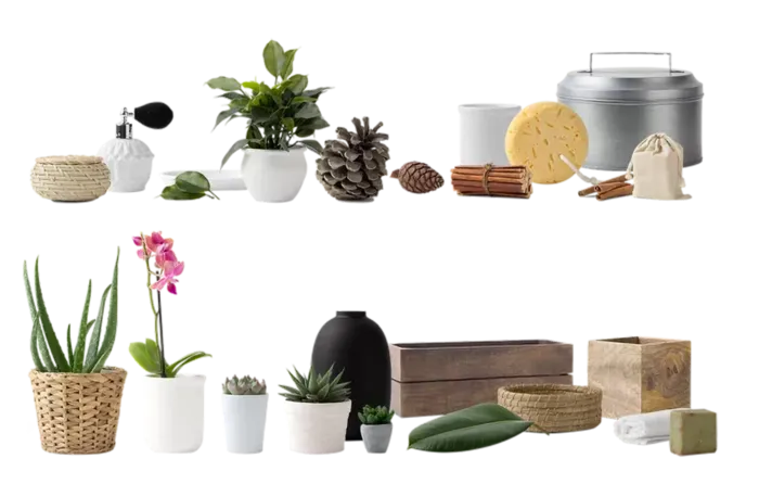 植物盆栽免抠png