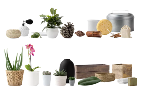 植物盆栽免抠png