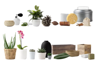 植物盆栽免抠png