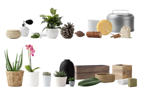 植物盆栽免抠png 植物盆栽免抠png