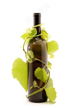 红酒庄园图片下载