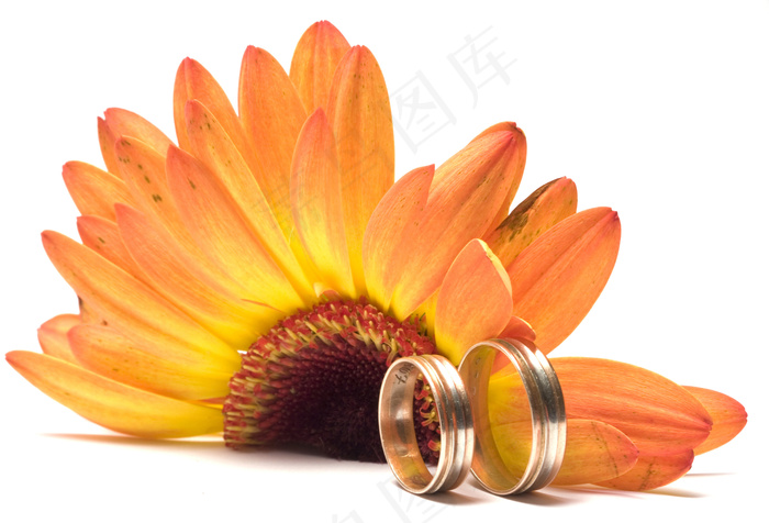 情侣对戒图片下载