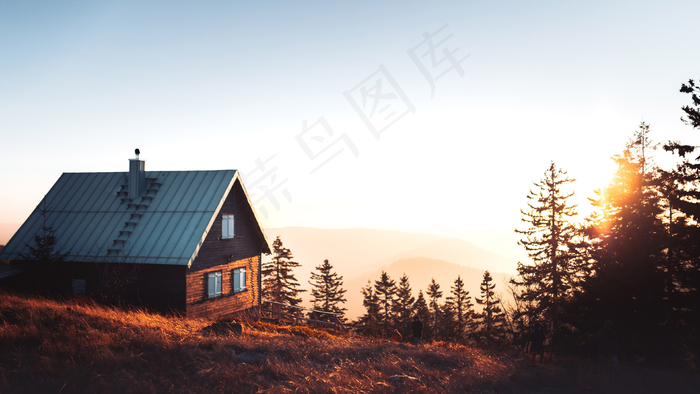 秋天秋日树山坡高清背景