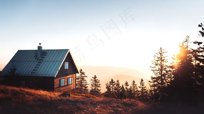 秋天秋日树山坡高清背景