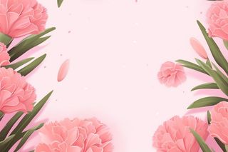 简约粉色康乃馨插画背景