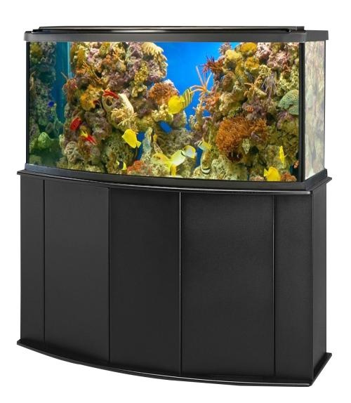 水族馆 PNG免抠