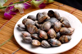 美食配菜贝壳