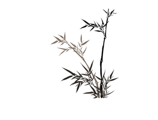 竹子水墨画中国风国画墨水书法竹子画