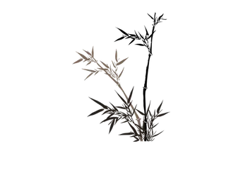 竹子水墨画中国风国画墨水书法竹子画