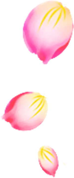 花瓣花朵免扣图片 