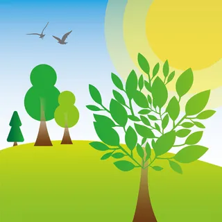 蓝天绿地阳光春天绿树树木元素插画