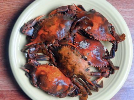 清蒸螃蟹图片