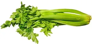 芹菜 PNG免抠