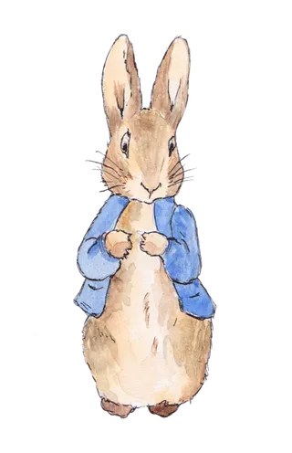 穿衣服兔子兔年