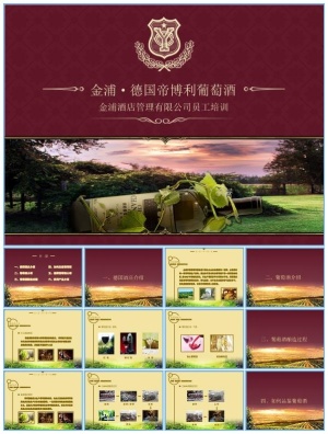 葡萄酒行业销售知识培训ppt模板预览图