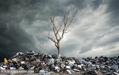 环境污染枯树乌云 环境污染枯树乌云