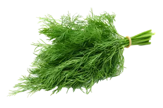 茴香超市商品白底图免抠实物摄影png格式图片透明底