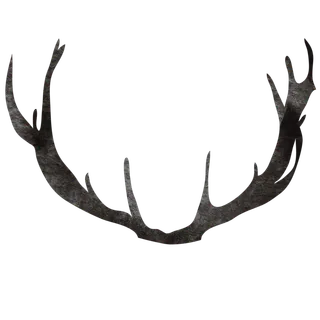 唯美森系手绘水彩花朵 免抠