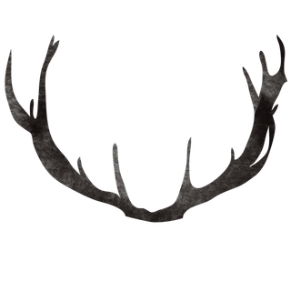 唯美森系手绘水彩花朵 免抠