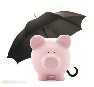 金钱储蓄系列 - 可爱的小猪钱罐和雨伞