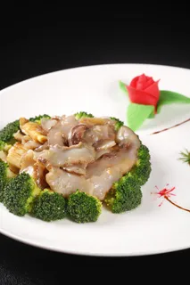 京葱黄玉参 (10) 京葱黄玉参 (10)