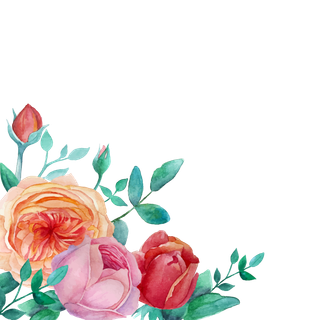 鲜花玫瑰免扣素材