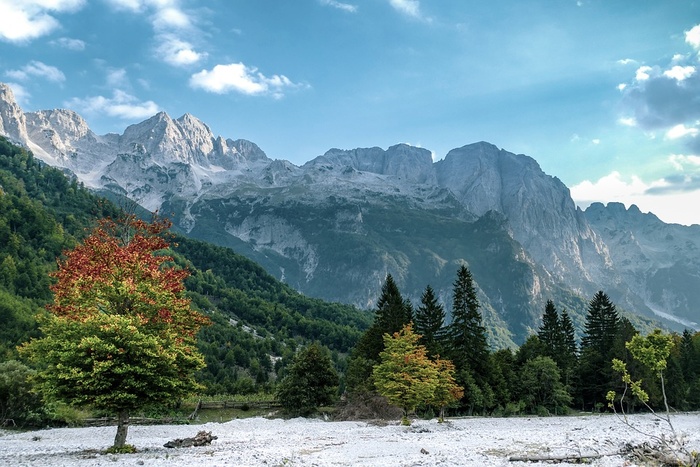 冬天自然背景风景