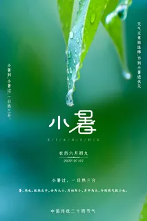 小暑节气宣传清新海报