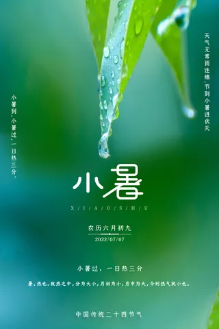 小暑节气宣传清新海报