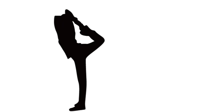 锻炼健身柔性