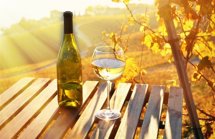 野餐美食食物摄影图