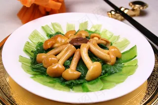 0052滑丁菇小白菜