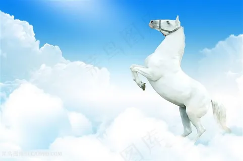 白云与白骏马图片 白云与白骏马图片