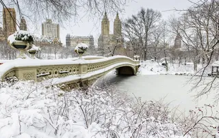冬季唯美雪景图片
