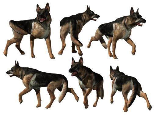 德国牧羊犬 PNG免抠(1280x944)
