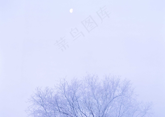 冰天雪地 393