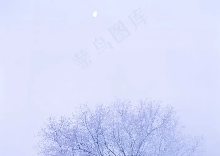 冰天雪地 393