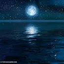 美丽的月色月亮高清图片