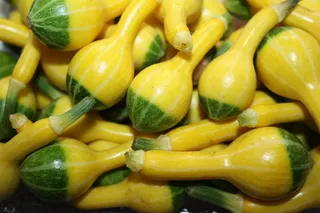 绿黄色西葫芦图片