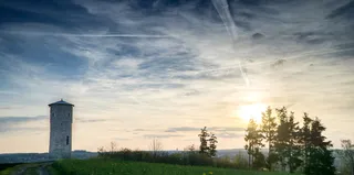 高清蓝天白云草地树林